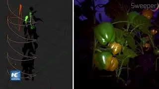 Prueban robot cosechador de pimientos