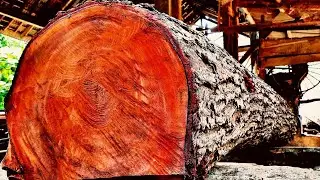 sawing wood 5 days old !!