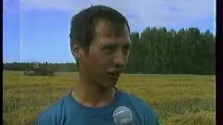 Начало уборочной в Тяжинском районе  (14 августа 2003 г.)