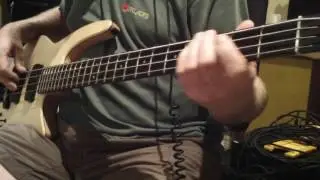 NS Design Radius CR4 bass - George