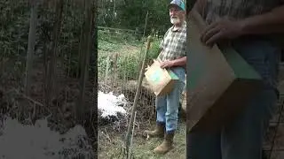 Secret to building a hot compost pile #short #garden #compost