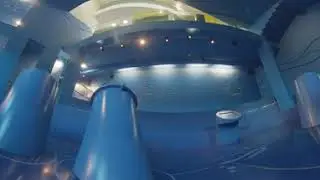 Mosellum Fish Pass 360&deg; Underwater Viewing Chamber 🐟 4K 60FPS ASMR | Ambient Soundscape Immersion