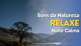 Noite Tranquila na Natureza - Relaxamento Profundo com Som Ambiente 🌌