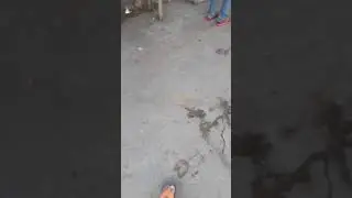 Street fight in ferozepur punjab