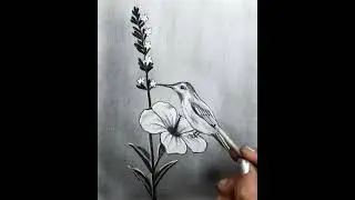Pencil Drawing Scenery | How to Draw a Bird Sitting on a Branch Landscape for Beginners