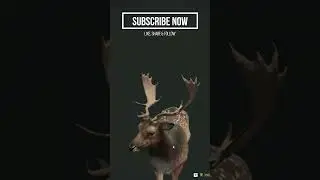 Male Fallow Deer One Shot Kill #thehuntercallofthewild  #thehuntercotw #hunting #gaming