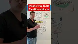 Candida - You Can&rsquo;t Kill Candida&hellip; If You Don&rsquo;t Know This!