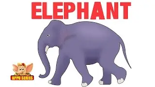 Animal Sounds - Elephant