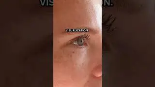 Visualization | 369 Manifestation Journal | S.A. Sterling