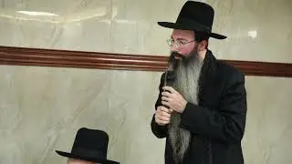 ההילולא בדינוב תשפ''ו   כבוד הרב נתנאל אביסרור שליט''א