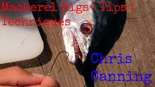 Spanish Mackerel Fishing Rigs | Tips & Techniques