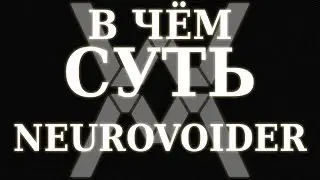 В чём суть - Neurovoider ?
