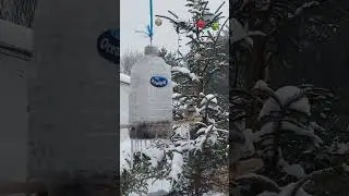 #chickadee #birdwatching #icyday #frozen