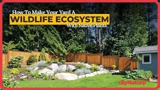 Turn Your Yard Into a Wildlife Ecosystem (Native Plants, Real Results)