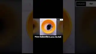 Amazing Science #Experiments in Urdu hindi | Easy but #interesting Experiments Diy #facts #shorts