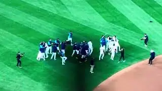 Mariners vs. Tigers ALDS Game 5 - Polanco Walk-Off (view from stands) - 10/10/25