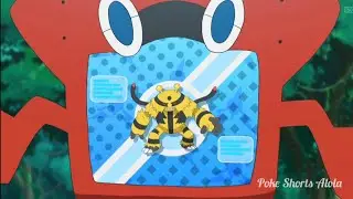 Electivire Rotom-Dex Data