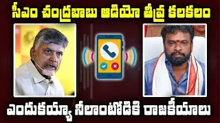 సీఎం చంద్ర&zwnj;బాబు ఆడియో లీక్&zwnj; | CM serious warning to Minister Vasamshetty Subhash on phone #tdp #cbn