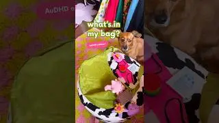 what&rsquo;s in my bag 🎒audhd edition! #audhd #autistic #actuallyautistic #audhder