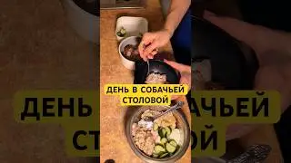 Всегда буду выбирать натуралку🥰наше масло wb: #551504593 #натуралка #питание #еда #домашниеживотные