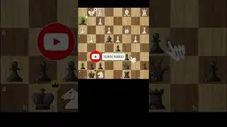 Double Bishop Checkmate #shorts #chess #checkmate #bishopcheckmate #chessclips