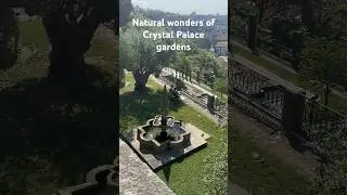 Unwind with nature&rsquo;s companions in the garden at Jardins do Palacio de Cristal, Porto #naturallover