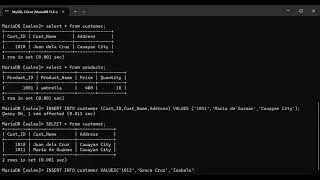 Inserting Records into MariaDB Tables