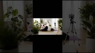 El Influencer de Fitness 🐼​📱​
