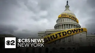 How do New Yorkers feel about the government shutdown?