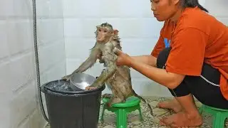 Madam Luna Taking Bath On Chair Routine
