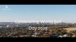 World Soil Day. BIOservicES's point of view on urban development and the impact on soil organisms