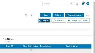 Kronos Timesheet and Time Entry