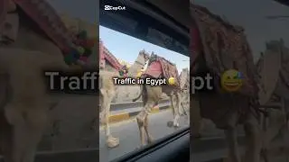 Saobraćaj u Egiptu 😅 #traffic #cairo #egypt #gizapyramids #egypttravel