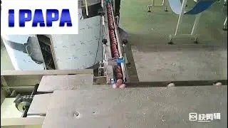full automatic protein energy ball packaging line