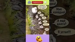Подписывайся и ставь лайк 👍😂 #shorts #comedy #jokes #humor #шутка #юмор #прикол #анекдот #смех
