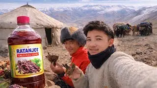Me & My Firend Collecting Alkanet Root || 🎑