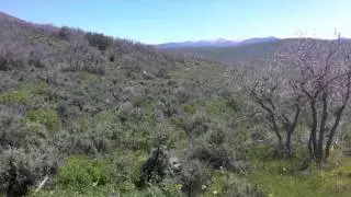 Mountain Trails Foundation Trail Feature:  Rusty Shovel Round Valley