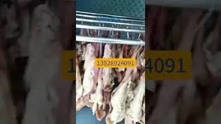 electric meat dryer gas heating wood pellet as fuel multiple heat source dryer for meat and sausage