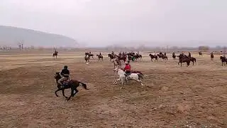 Бузкаши дар ХАМАДОНИ (Чапаев) 17.12.2025,