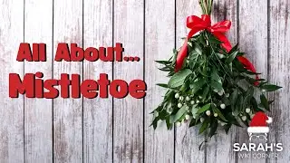 Sarah's Wiki Corner Podcast | 12/22/25 - Mistletoe