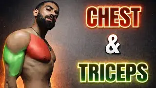 Chest & Triceps Workout for All Levels | Science-Based Push Day (Beginner to Advanced) #fitness 