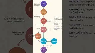 software testing | manual testing | bug life cycle | automation #shorts #education #softwaretesting