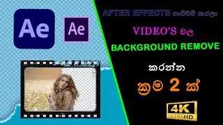How to REMOVE BACKGROUND from VIDEO in After Effects | Hashan Geek