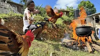 SLINGSHOT ROOSTER HUNT 🎯 | Old-School Hunting Gone WILD