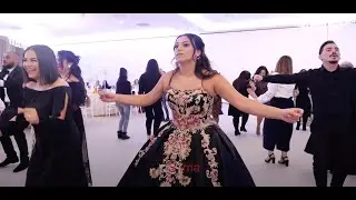 BU OYUNCULAR BIR BAŞKA!! 😍🔥 #Dordrecht  #kinagecesi #Ankara #Kayseri #oyunhavasi #dance