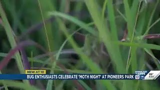 Lincoln bug enthusiasts celebrate Moth Night at Pioneers Park