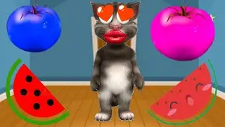 billu eating colorful tomato and water melon talking tom funny video | @mkbillu