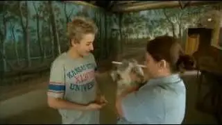 Paradise Country - All About Animals TV Show