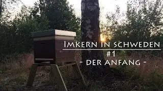 Bienen einlaufen lassen - Naturwabenbau - Ligustica - Imkern in Schweden - #1 Der Anfang