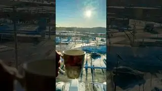 Nothing beats a hot cup of tea on a freezing day! ❄️ ☕️ #wintervibes #tealovers #snowfall #usa